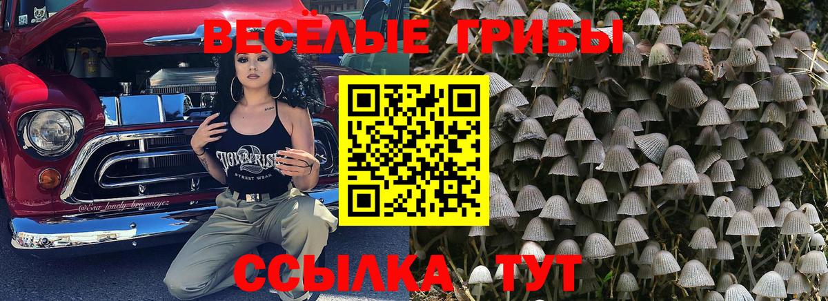 Иваново  Галлюциногенные грибы ЛСД  Вход с VPN 